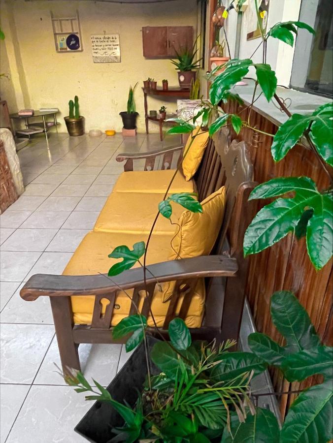 Totora Surf Hostel Huanchaco Zewnętrze zdjęcie